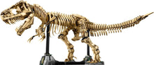 Load image into Gallery viewer, LEGO® Jurassic World: Dinosaur Fossils: Tyrannosaurus rex 76968
