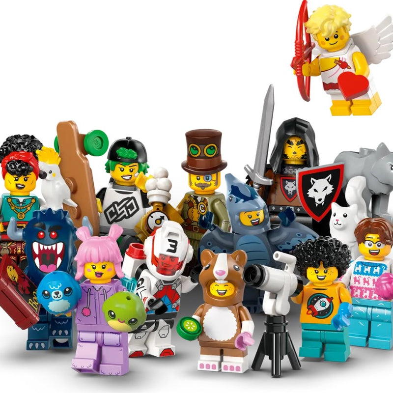 LEGO® Minifigures Series 27 71048 (1 Box)