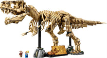 Load image into Gallery viewer, LEGO® Jurassic World: Dinosaur Fossils: Tyrannosaurus rex 76968
